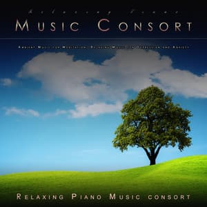 Relaxing Piano Music Consort: Ambient Music for Meditation, Relaxing Music for Depression and Anxiety - Relaxing Piano Music Consort