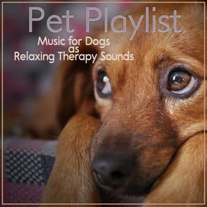 Pet Playlist, Music for Dogs as Relaxing Therapy Sounds - Dog Music Zone