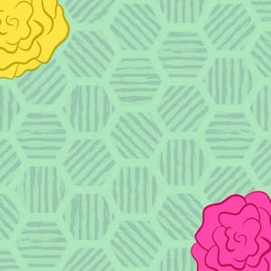 Music for Cute Fusion - Distinguished Bossa Guitar Trio - Harlem Jazz Guitar Quartet