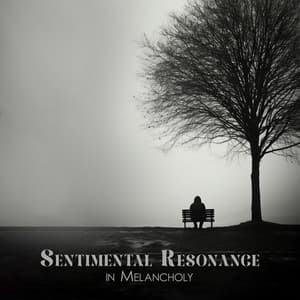 Sentimental Resonance in Melancholy - Frozen Heart Music Paradise