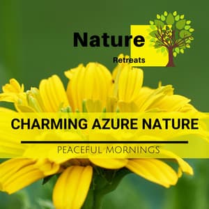 Charming Azure Nature - Peaceful Mornings - Meditation Atmospheres