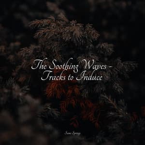 The Soothing Waves - Tracks to Induce - The Rain Library