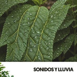 Sonidos y Lluvia: Serenata Acuática - Ruido Blanco Hart