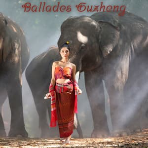 Ballades Guzheng: Belle musique traditionnelle chinoise pour apaiser l'âme - Musicothérapie Chinoise