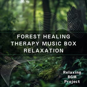 Forest Healing Therapy: Music Box Relaxation - Relaxing BGM Project