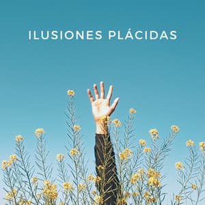 Ilusiones Plácidas - Effectum