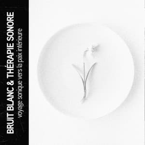 Bruit blanc et thérapie par le son : voyage sonique vers la paix intérieure - Ruido Blanco Hart