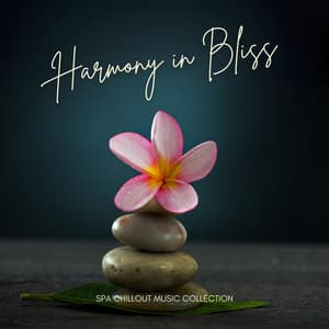 Harmony in Bliss: Relaxing Spa Sounds - Spa Chillout Music Collection