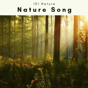A Nature Song - 101 Nature