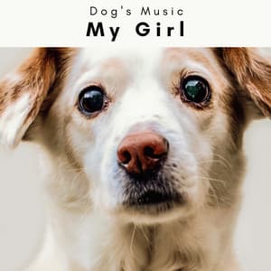 4 Dogs: My Girl - Dog's Music