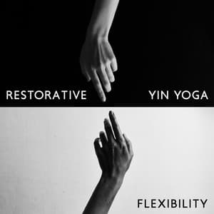 Restorative Yin Yoga: Flexibility, Full Body Stretch, Back Pain Treatment - Spiritual Power Control