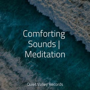 Comforting Sounds | Meditation - Sampling XL