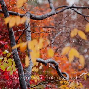 Focusing Mind Natural Raindrops Vol. 1 - Music for Focus and Concentration
