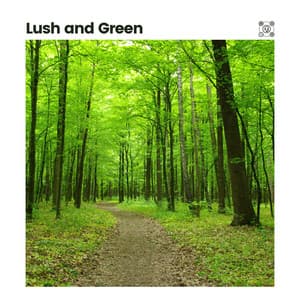 Lush and Green - Tranquility Spa Universe