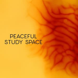 Peaceful Study Space - Brainwave Frequency Zone