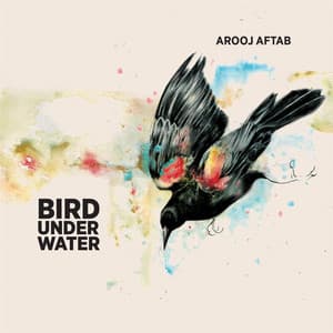Bird Under Water - Arooj Aftab