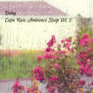 Baby: Calm Rain Ambience Sleep Vol. 2 - Sleep Music