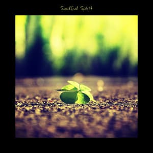 Soulful Spirit - Bosanova Brasilero