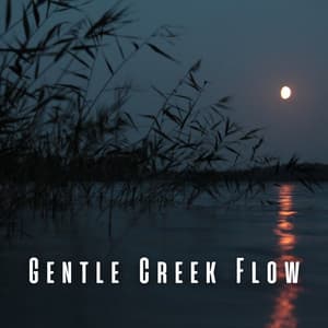 Gentle Creek Flow - Gentle by Nature