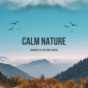 Calm Nature - Sounds of Nature Noise