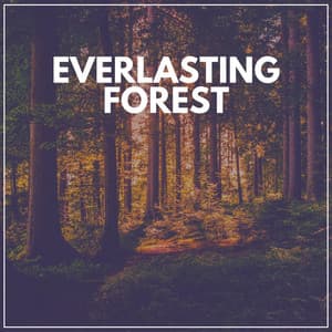 Everlasting Forest - The Outdoor Library
