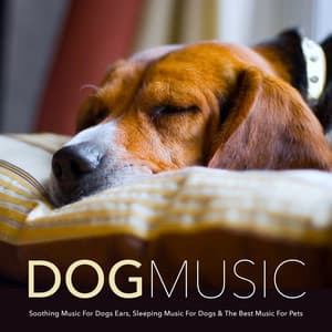 Dog Music: Soothing Music For Dogs Ears, Sleeping Music For Dogs & The Best Music For Pets - Dog Music