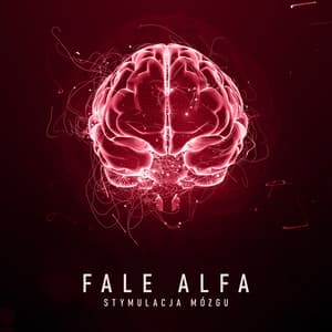 Fale Alfa: Stymulacja Mózgu & Muzyka do Nauki, Pracy, Koncentracji, Dźwięki Binarealne - Częstotliwość 432Hz