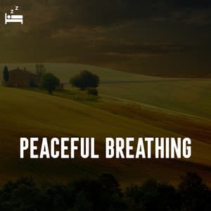 Peaceful Breathing - Breathing Music