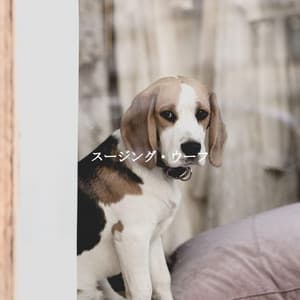 スージング・ウーフ - Evening Chillout Playlist