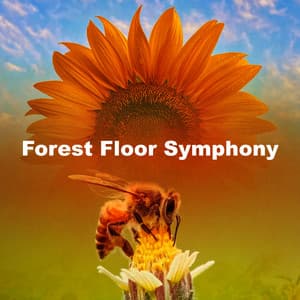 Forest Floor Symphony - Himalaya Nature