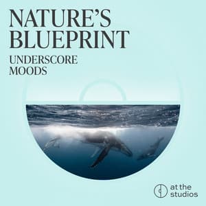 Natures Blueprint - Chris Doney