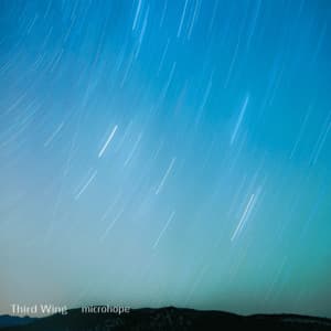 Third Wing - microhope