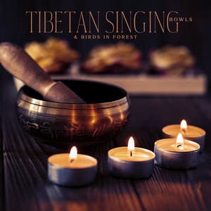 Tibetan Singing Bowls & Birds in Forest: 1 Hours Meditation Music - Jasmine Soft