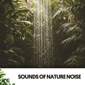 Sounds of Nature Noise: Symphony of Raindrops - Cat Music Therapy