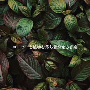 コーヒーと植物を落ち着かせる音楽 - Hotel Lounge Soundtracks
