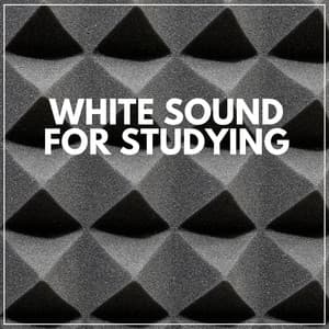White Sound for Studying - Airplane White Noise