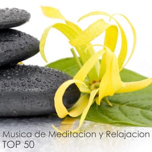 Top 50 Musica de Meditacion y Relajacion - 50 Musicas Relajantes para Descansar, Dormir y Soñar - Atención Plena