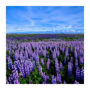 You and Me in a Perfect Balance - Just Breathe Meditation