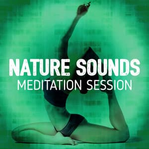 Nature Sounds Meditation Session - Nature Sounds Meditation