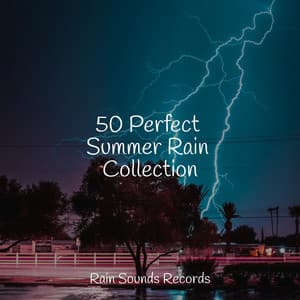 50 Perfect Summer Rain Collection - Meditation Rain Sounds