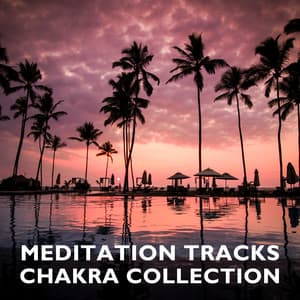 14 Meditation Tracks - Chakra Collection - Pet Care Music Therapy