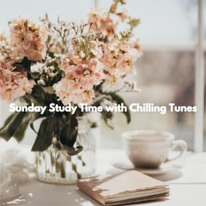Sunday Study Time with Chilling Tunes - Old Fashioned Classic Bossa