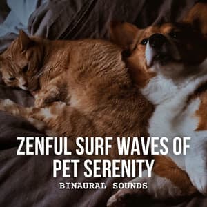 Binaural Sounds: Zenful Surf Waves of Pet Serenity - Binaural Movements