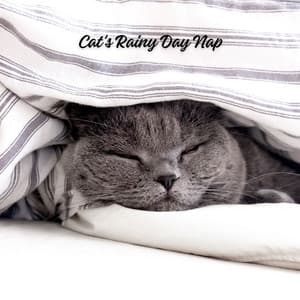 Cat's Rainy Day Nap - Deep Rain Sampling