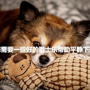 您需要一些好的爵士乐帮助平静下来 - Restaurant Background Playlist