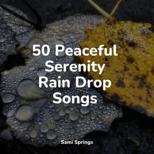 50 Peaceful Serenity Rain Drop Songs - Zarobi