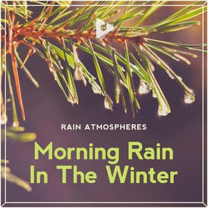 Morning Rain In The Winter - Rain Sounds ASMR