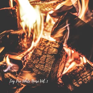Log Fire White Noise Vol. 1 - White Noise Healing Power