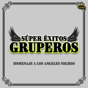 Homenaje A Los Angeles Negros - Super Exitos Gruperos