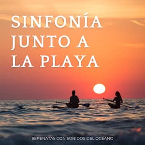 Sinfonía Junto A La Playa: Serenatas Con Sonidos Del Océano - Sonidos de la Naturaleza Ruido